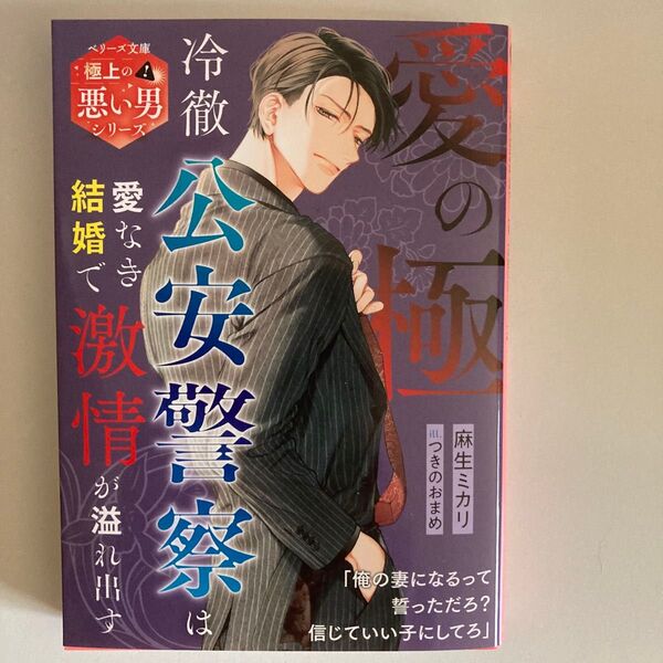 『即購入不可』TL小説 愛の極 冷徹公安警察は愛なき結婚で激情が溢れ出す