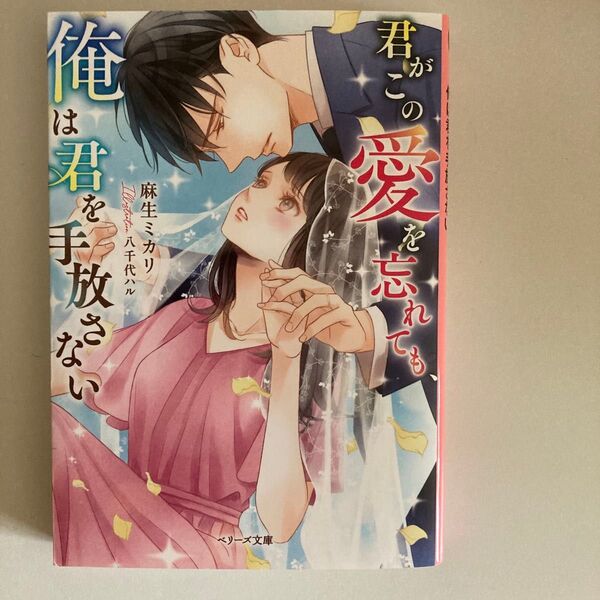 『即購入不可』TL小説 君がこの愛を忘れても、俺は君を手放さない