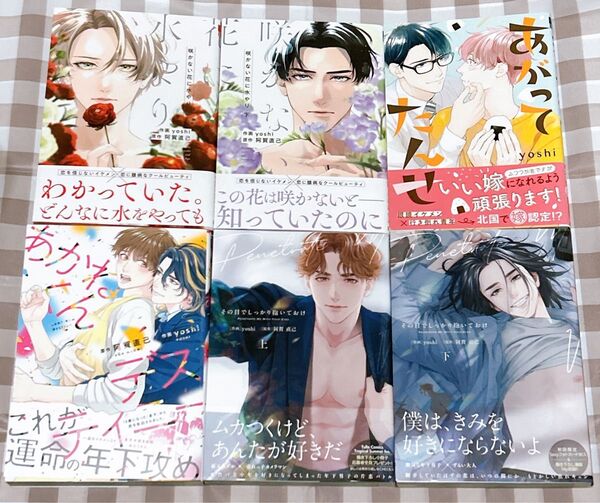 yoshiセット 阿賀直己 あかねくんデスティニー あがってたんせ 咲かない花に水やり その目でしっかり抱いておけ