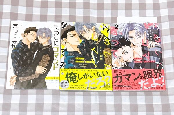 ためしにコマンド言ってみた/ゆくえ萌葱