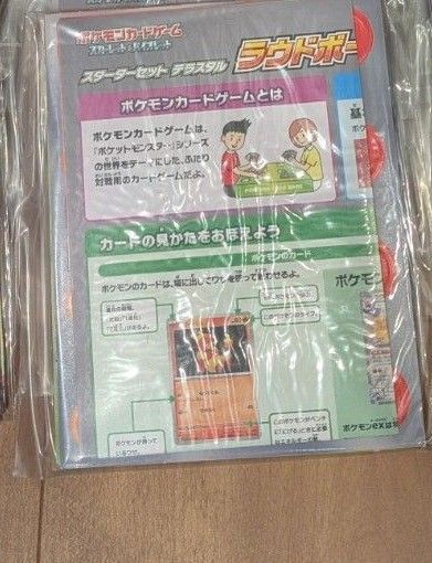 ポケカ スタートガイド 紙プレイマット ダメカン 始め方ガイド ラウドボーン