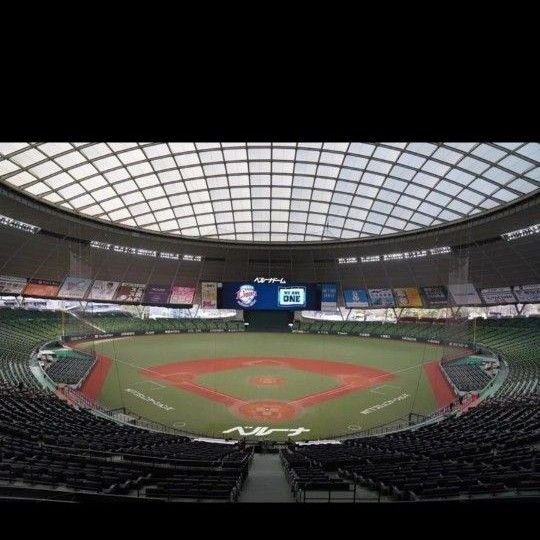 ベルーナ チケット【133ブロック 通路側から2枚連番】5/29 内野指定席C【1塁】 30〜33段 付近