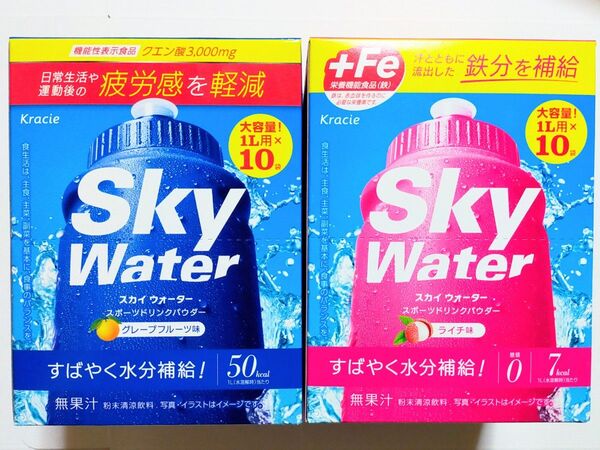 クラシエ スカイウォーター スポーツドリンクパウダー粉末 ×2箱 計20L分(1L用×20袋)機能性表示食品 栄養機能食品