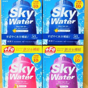 クラシエ スカイウォーター スポーツドリンクパウダー粉末 ×4箱 計40L分(1L用×40袋)機能性表示食品 栄養機能食品