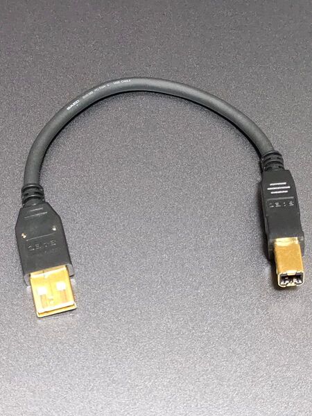 SAEC SUS-380 USBケーブル 0.2m