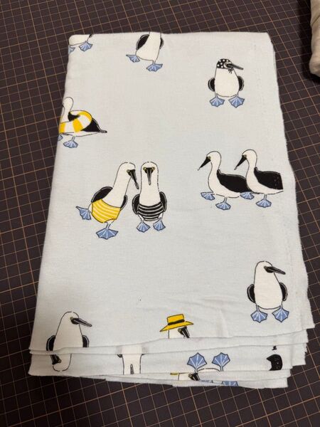 maple and a fabric スムースニット アオアシカツオドリ