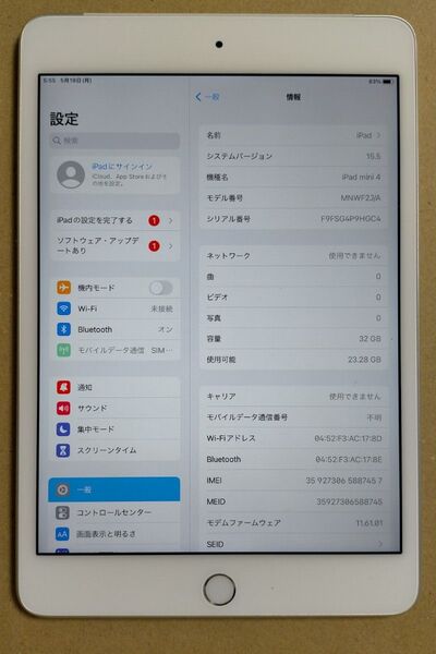 【第4世代】iPad mini4 Wi-Fi+Cellular 32GB シルバー MNWF2J/A バッテリー 92%
