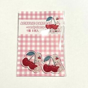 (出品No.77)ayyjewelさま・アクリルパーツ