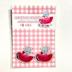 (出品No.85)ayyjewelさま・アクリルパーツ