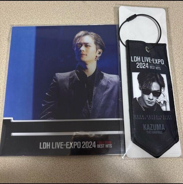 LDH LIVE-EXPO 川村壱馬 アクリルパネル ミニタペストリー 新品