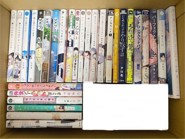 商業BLコミック29冊+αセット ボーイズラブ単行本漫画