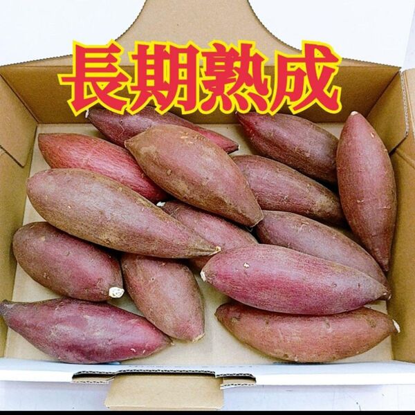 ☆蜜芋☆ 茨城県産 シルクスイート 2sサイズ
