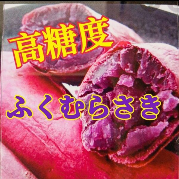 ☆希少☆ 茨城県産 紫芋 ふくむらさき ☆30