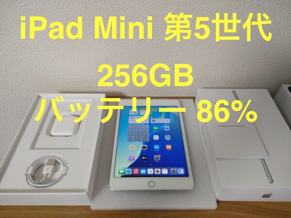 【美品】iPad mini 第5世代 Wi-Fi 256GB シルバー MUU52J/A A2133 動作確認済み