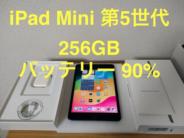iPad mini 第5世代 Wi-Fi 256GB スペースグレイ MUU32J/A A2133 動作確認済み