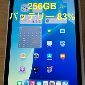 iPad Air 第4世代 Wi-Fi 256GBスカイブルー MYFY2J/A A2316 動作確認済み