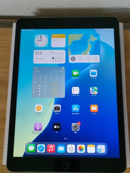 iPad 第8世代 Wi-Fi 32GB スペースグレイ MYL92J/A A2270 動作確認済み