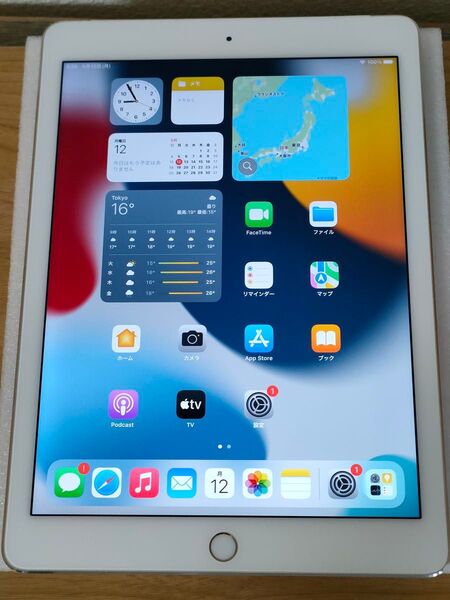iPad Air 2 Wi-Fi + Cellular 16GB ゴールド MH1C2J/A A1567 動作確認済み