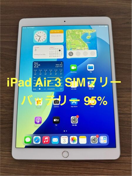 iPad Air 第3世代 Wi-Fi + Cellular SIMフリー 64GB シルバー MV0E2J/A 動作確認済み