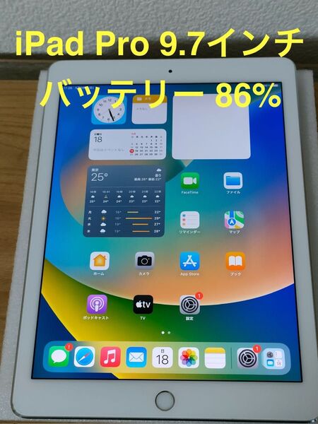 iPad Pro 9.7インチ Wi-Fi + Cellular 32GB シルバー MLPX2J/A A1674 動作確認済み