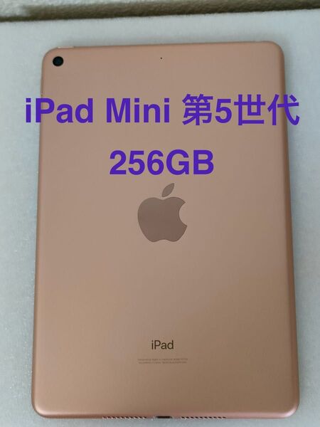 iPad mini 第5世代 Wi-Fi 256GB ゴールド MUU62J/A A2133 動作確認済み