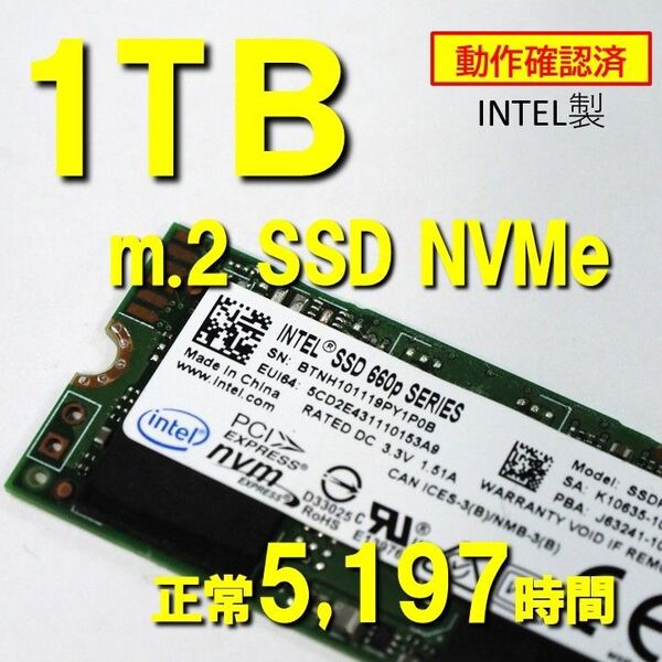 正常5197H】1TB m.2 SSD NVMe INTEL 2280 内蔵 動作確認済 0515