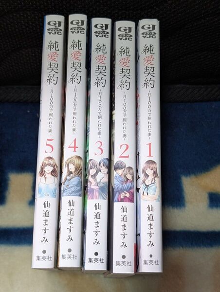 純愛契約 全5巻 リベンジH 全12巻セット 仙道ますみ 全巻セット