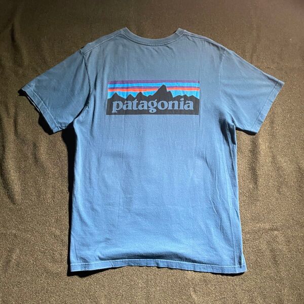 00s メキシコ製 Patagonia オーガニックコットン Tシャツ M