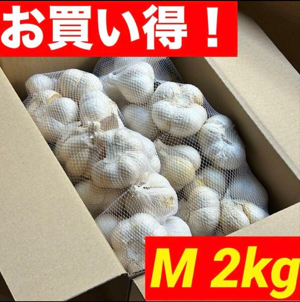 【大特価】青森県産 にんにく 2kg M 福地ホワイト六片 黒にんにく加工 激安
