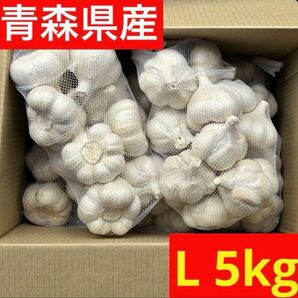 【超セール】青森県産にんにく 5kg L 福地ホワイト 加工 お買い得
