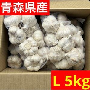 【大特価】青森県産にんにく 5kg L 福地ホワイト 加工 お買い得