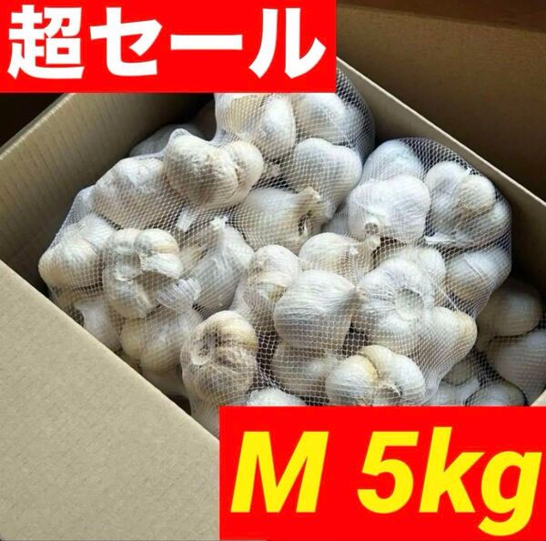 【大特価】青森県産 にんにく 5kg M 福地ホワイト六片 黒にんにく加工 激安