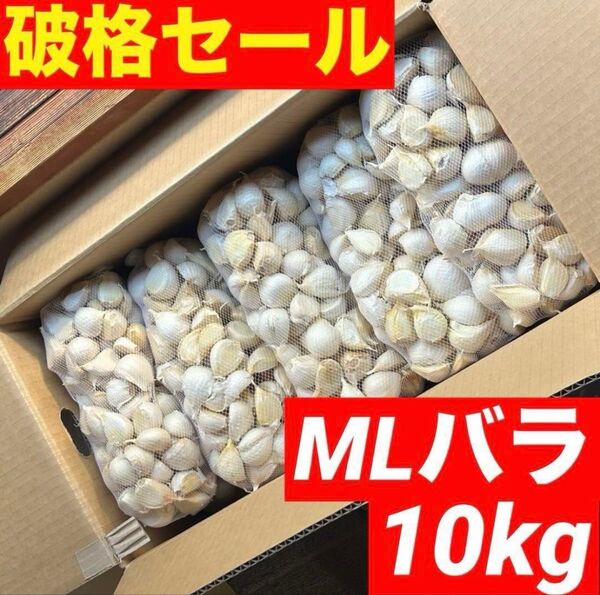【大特価】青森県産にんにく 10kg MLバラ 福地ホワイト 加工 お得