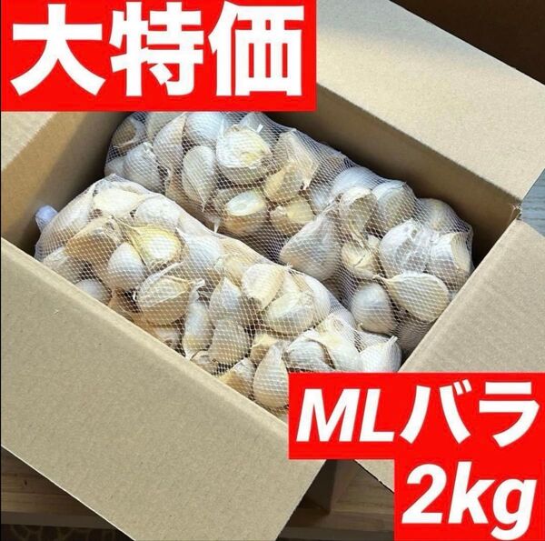 【超セール】青森県産にんにく 2kg MLバラ 福地ホワイト 加工 お得