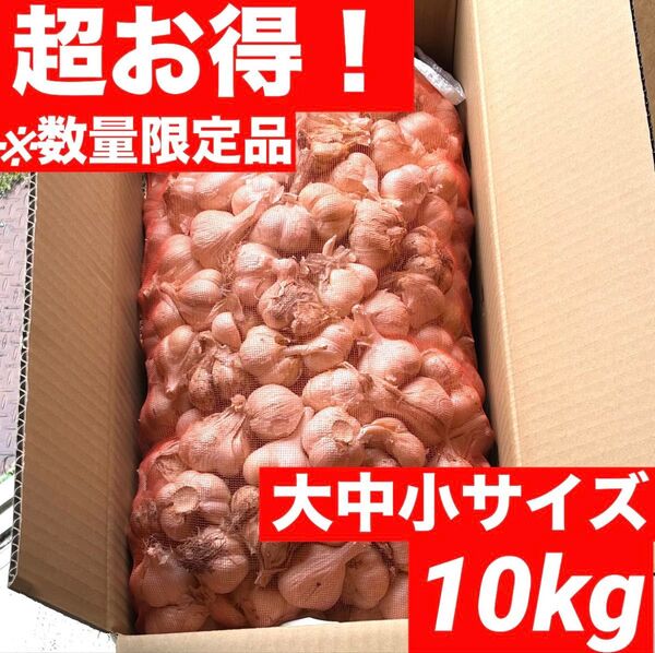 【早い者勝ち】青森県産 にんにく 大中小 10kg 福地ホワイト 加工 訳あり