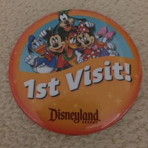 ヤフオク ディズニー ピンバッチ 1st ピンバッジ の中古品 新品 未使用品一覧 ヤフオク ディズニー ピンバッチ 1st ピンバッジ の中古品 新品 未使用品一覧