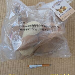 段ボール発送 一番くじ あまえんぼうイーブイぬいぐるみ(未開封品)ポケモン