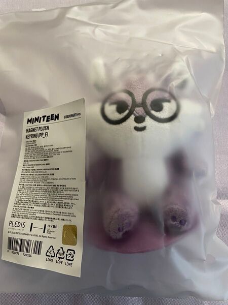 セブチ MINITEEN キーホルダー ウォヌ