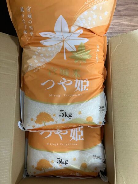 令和6年産 宮城県産 つや姫 5kg×2 計10kg