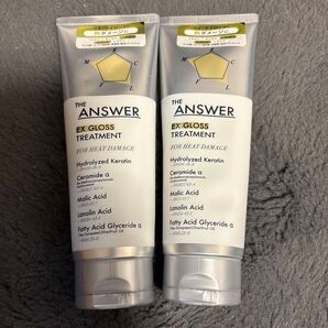 花王 THE ANSWER EXグロストリートメント FOR HEAT DAMAGE 2本