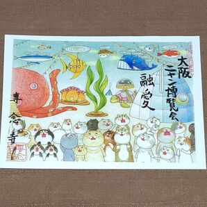 【御朱印】大阪平野・専念寺 五月御朱印 大阪ニャン博覧会