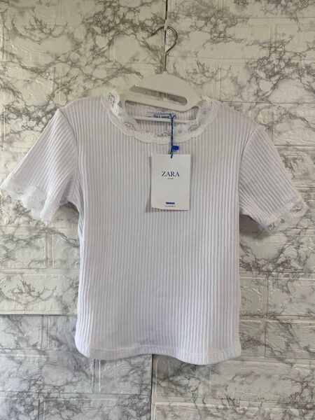 ZARA ザラ 新品 ショート丈 レース トップス カットソー 半袖 リブ