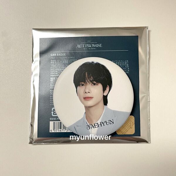 TXT トゥバ WORLD TOUR ACT : PROMISE EP.2 IN JAPAN アンコン 缶バッジ テヒョン 白