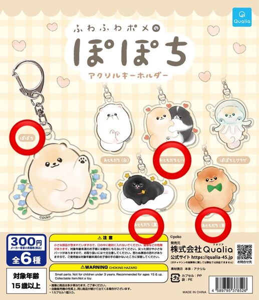 ふわふわポメのぽぽち アクリルキーホルダー 4種セット クオリア ガチャ ガチャガチャ
