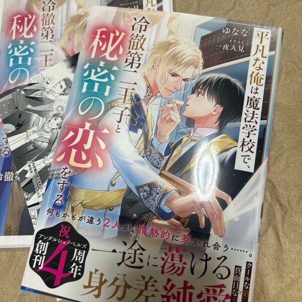 平凡な俺は魔法学校で、冷徹第二王子と秘密の恋をする (&arche NOVELS) ゆなな/〔著〕
