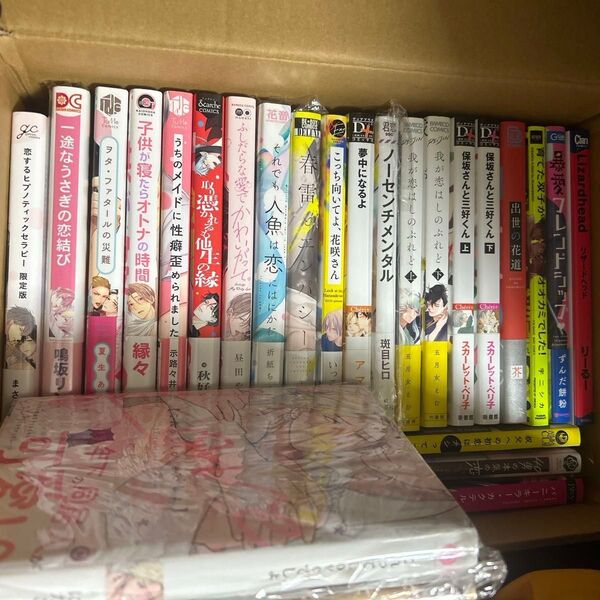 blマンガ纏め売り