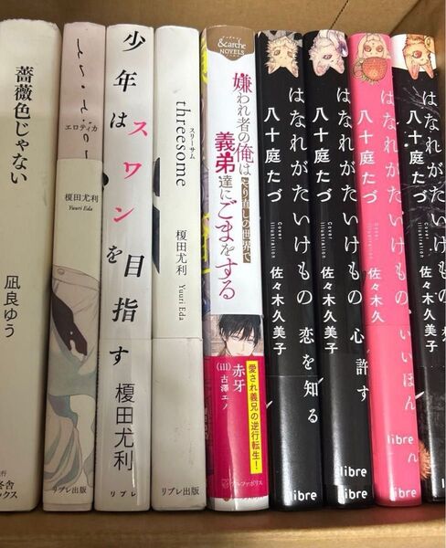 bl小説纏め売り