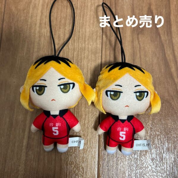 ぬいぐるみ マスコット ハイキュー 孤爪研磨