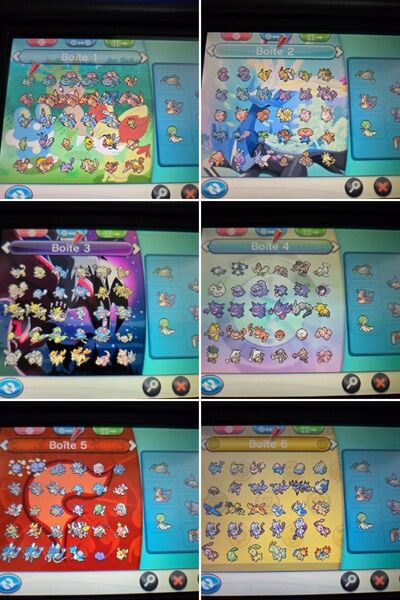 ポケットモンスターX 最強データ 3DS ソフト