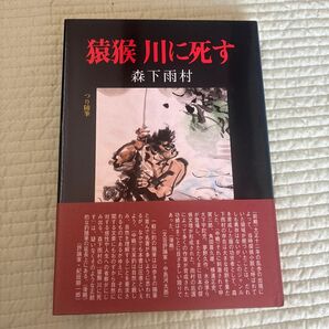猿猴川に死す 森下雨村
